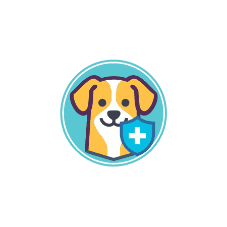 Dog health care icon