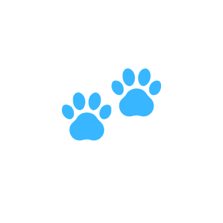 Puppy care icons