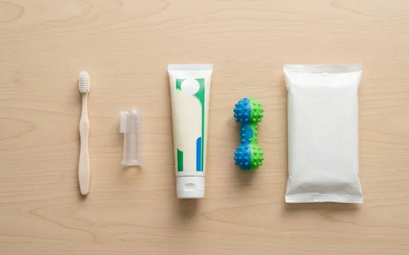 puppy toothbrush and dental care supplies at home