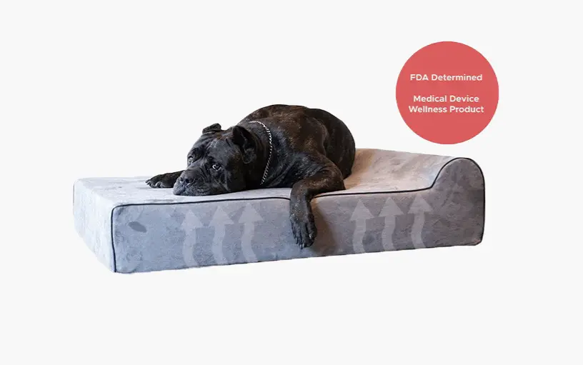 Infrared Orthopedic Dog Bed