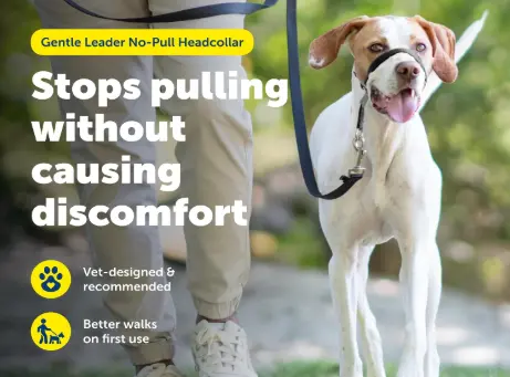 PetSafe Gentle Leader No-Pull Dog Headcollar