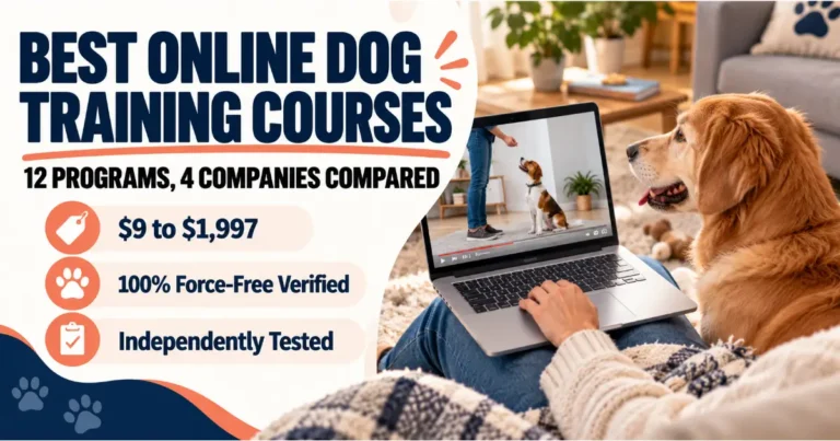 Best Online Dog Training Courses 2026, 12 Programs Compared