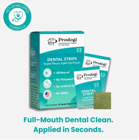 Prodogi Dental Strips