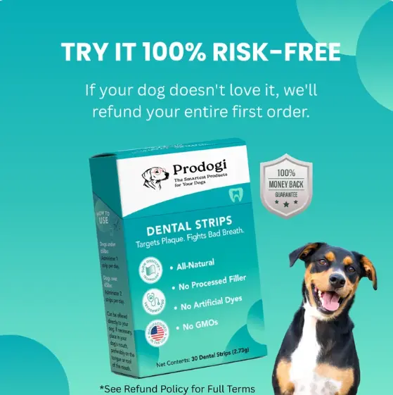 Prodogi Dental Strips